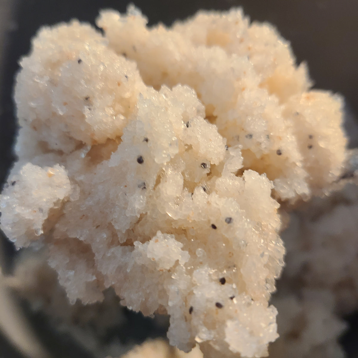 Dead Sea Salt Scrub